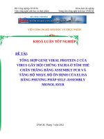 luận văn dòng hóa gen VP2