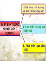 Bài 37. Sinh trưởng và phát triển ở động vật