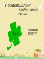 Bài 16. Tiêu hoá ở động vật (tiếp theo)
