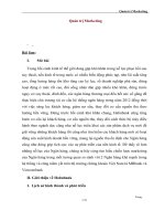 Phân tích hoạt động marketing của habubaqnk   MBbank và vietcombank trên thị trường chứng khoán việt nam 