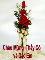 Bài 1. Trao đổi nước ở thực vật