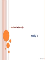 Bài 26. Cảm ứng ở động vật