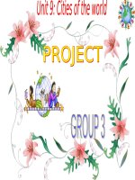 Project Unit 9 Lớp 6 Thí điểm