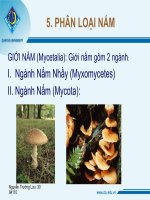 Bài 34. Quá trình tổng hợp các chất ở vi sinh vật và ứng dụng