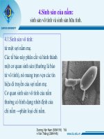 Bài 34. Quá trình tổng hợp các chất ở vi sinh vật và ứng dụng