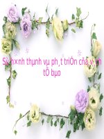 Bài 12. Thực hành: Thí nghiệm nhận biết một số thành phần hóa học của tế bào