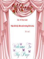 Bài 18. Thực hành: Nhận biết đặt điểm môi trường đới ôn hòa