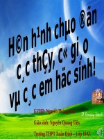 Bài 26. Tình hình xã hội ở nửa đầu thế kỷ XIX và phong trào đấu tranh của nhân dân