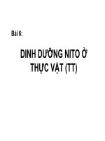 Bài 6. Dinh dưỡng nitơ ở thực vật (tiếp theo)