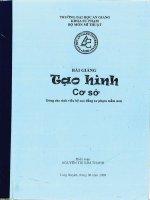 Bài giảng tạo hình cơ sở   nguyen thi kim thanh (mỹ thuật) 