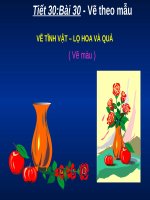 Bài 7. Vẽ tĩnh vật (Lọ và quả) (Tiết 1 - Vẽ hình)
