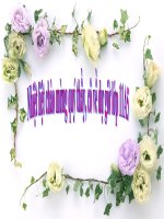 Bài 2. Trao đổi nước ở thực vật (tiếp theo)