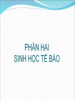 Bài 21. Ôn tập phần sinh học tế bào