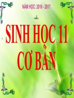 Bài 11. Quang hợp và năng suất cây trồng