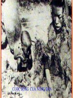 Bài 24. Khởi nghĩa nông dân Đàng Ngoài thế kỉ XVIII