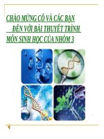 Bài 31. Virut gây bệnh, ứng dụng của virut trong thực tiễn
