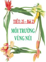 Bài 23. Môi trường vùng núi