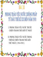 Bài 30. Phong trào yêu nước chống Pháp từ đầu thế kỉ XX đến năm 1918
