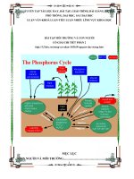 Bài tập môi trường và con người có giải chi tiết phần 2