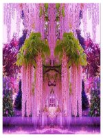 Bài 5. Dinh dưỡng nitơ ở thực vật