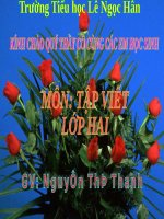 Tuần 32. Chữ hoa: Q (kiểu 2)