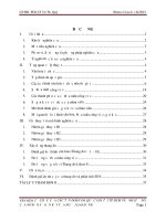 Tiểu luận môn phương pháp nghiên cứu khoa học văn hóa tổ chức của các tập đoàn đa quốc gia tại thành phố HCM và ảnh hưởng của nó đến sự gắn kết của người lao động 
