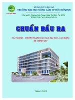 Chuẩn đầu ra các ngành chuyên ngành đào tạo đại học, cao đẳng hệ chính quy