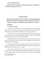 Phân tích chiến lược marketing của 2 đối thủ cạnh tranh của CT sông đà SJS và 2 đối thủ nam cường và vinaconex