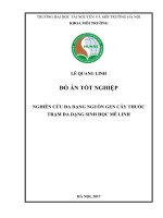 Nghiên cứu đa dạng nguồn gen cây thuốc trạm đa dạng sinh học mê linh 