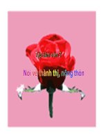 TLV noi ve thanh thi nong thon 