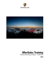 Porsche training p003 panamera 