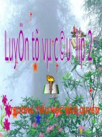 Tuần 25. MRVT: Từ ngữ về sông biển. Đặt và trả lời câu hỏi: Vì sao?