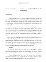 Phân tích chiến lược marketing của các đối thủ cạnh tranh với thép việt ý là thép nam đô và thép hòa phát 