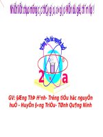 Bài 20. Vẽ túi xách (giỏ xách)