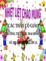 Tuần 25. Chữ hoa: V