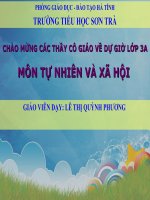 Bài 21-22. Thực hành: Phân tích và vẽ sơ đồ mối quan hệ họ hàng