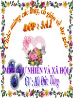 Bài 30. Hoạt động nông nghiệp