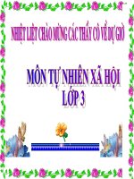 Bài 34-35. Ôn tập và Kiểm tra Học kì I