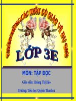 Tuần 7. Lừa và ngựa