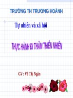 Bài 56 - 57. Thực hành: Đi thăm thiên nhiên