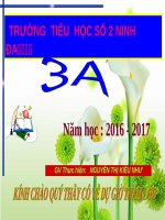 Tuần 8. Tiếng ru