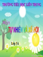 Bài 46. Khả năng kì diệu của lá cây