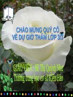 Bài 44. Rễ cây (tiếp theo)