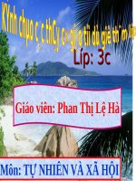 Bài 42. Thân cây (tiếp theo)