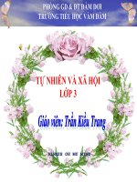 Bài 30. Hoạt động nông nghiệp