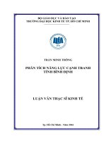 Phân tích năng lực cạnh tranh tỉnh bình định 