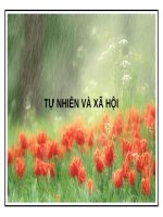 Bài 55. Thú (tiếp theo)