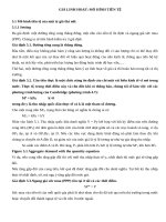 Tiểu luận môn tài chính quốc tế chương 5 giá linh hoạt mô hình tiền tệ 