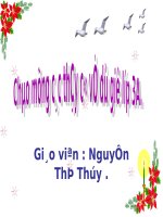 Tuần 3. Chú sẻ và bông hoa bằng lăng