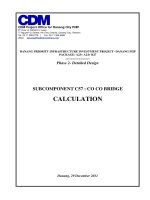 Bảng tính cầu Cổ Cò (Co co calculation)